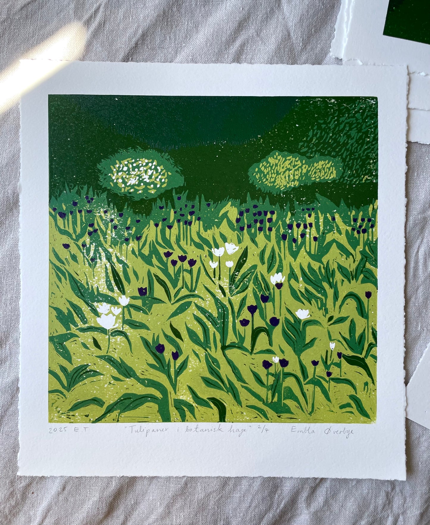 Tulipaner i botanisk hage - Originalt reduksjonstrykk med 5 lag (linosnitt)
