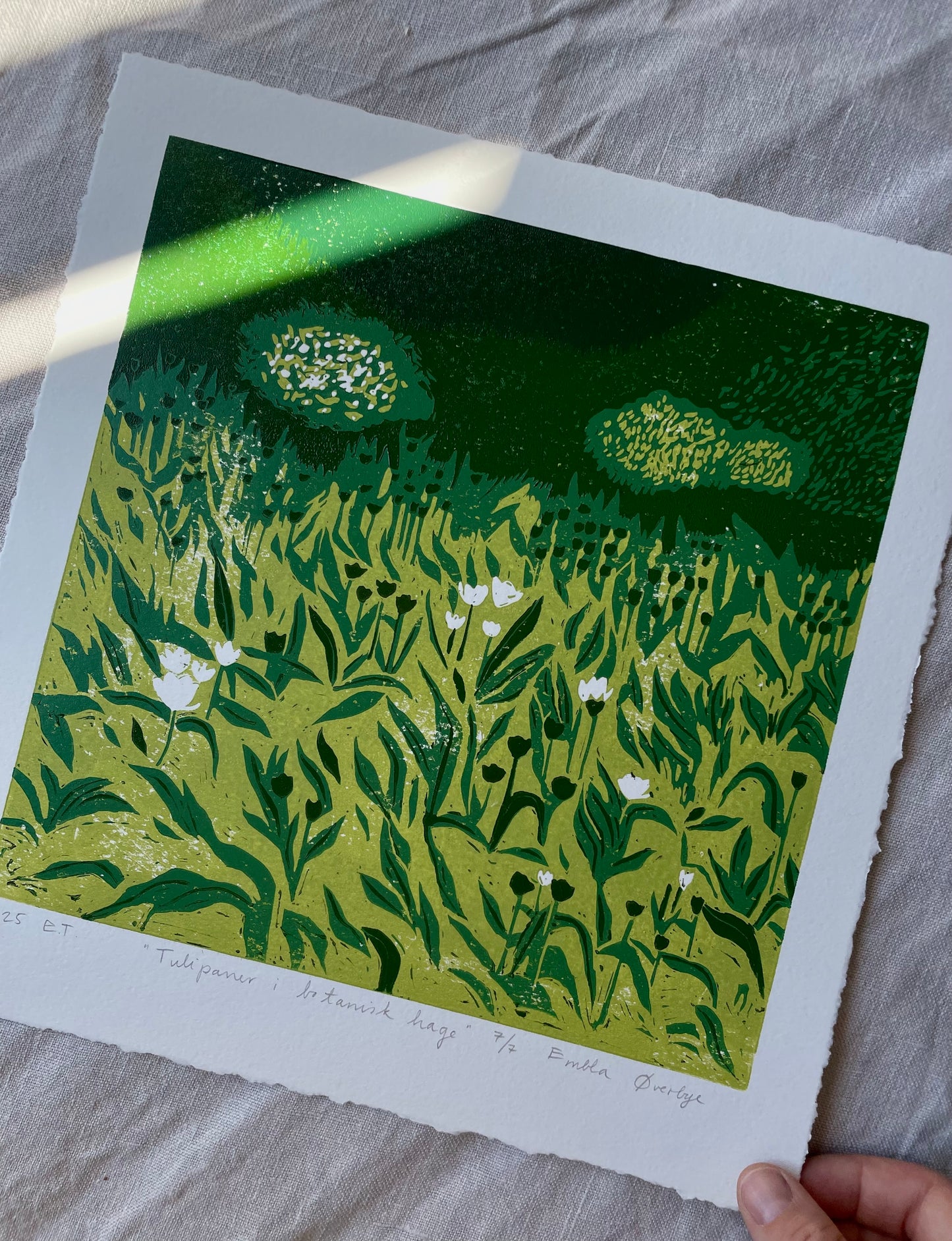 Tulipaner i botanisk hage - Originalt reduksjonstrykk med 5 lag (linosnitt)
