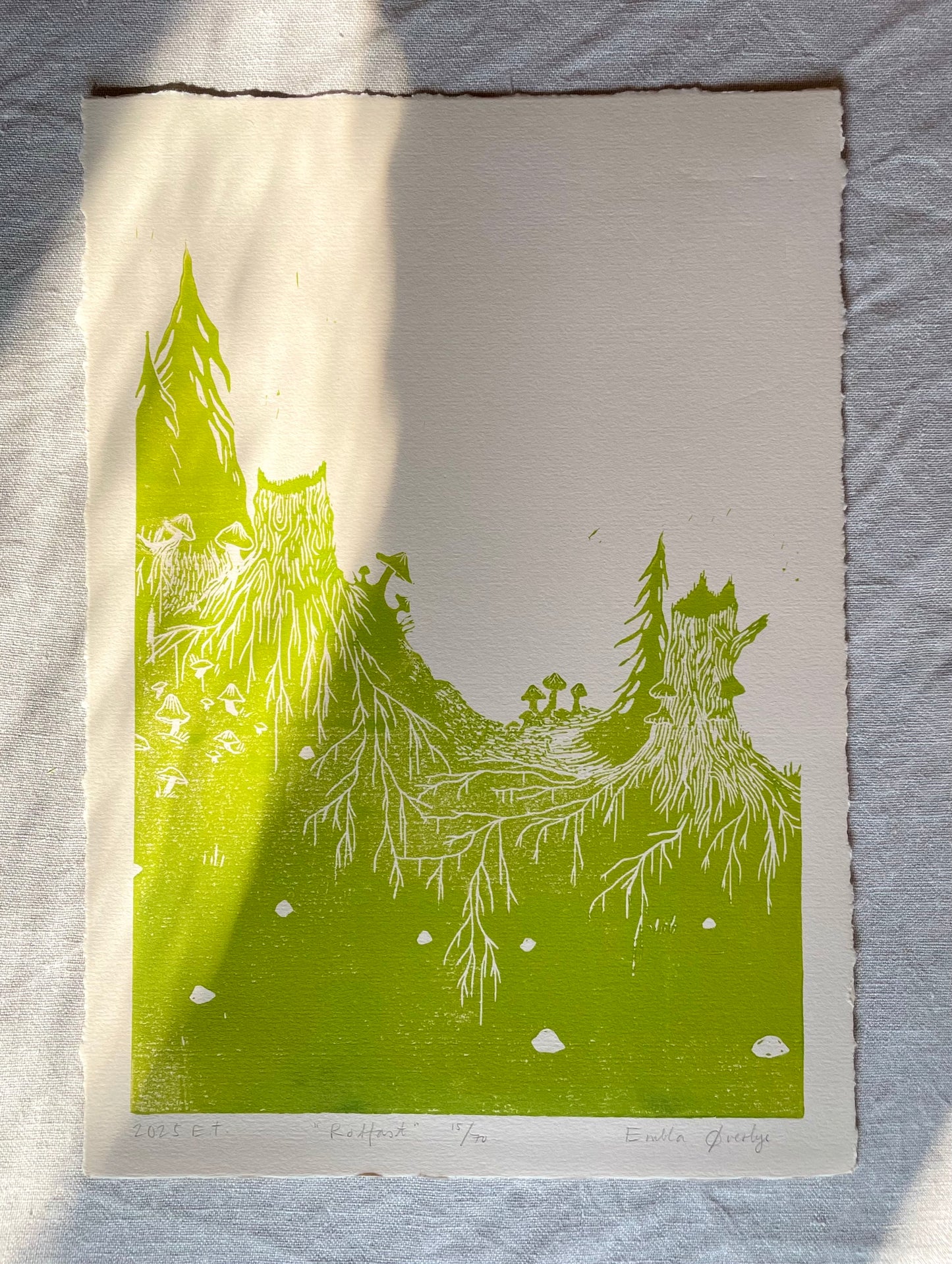 Rotfast - flere farger - Originalt linosnitt