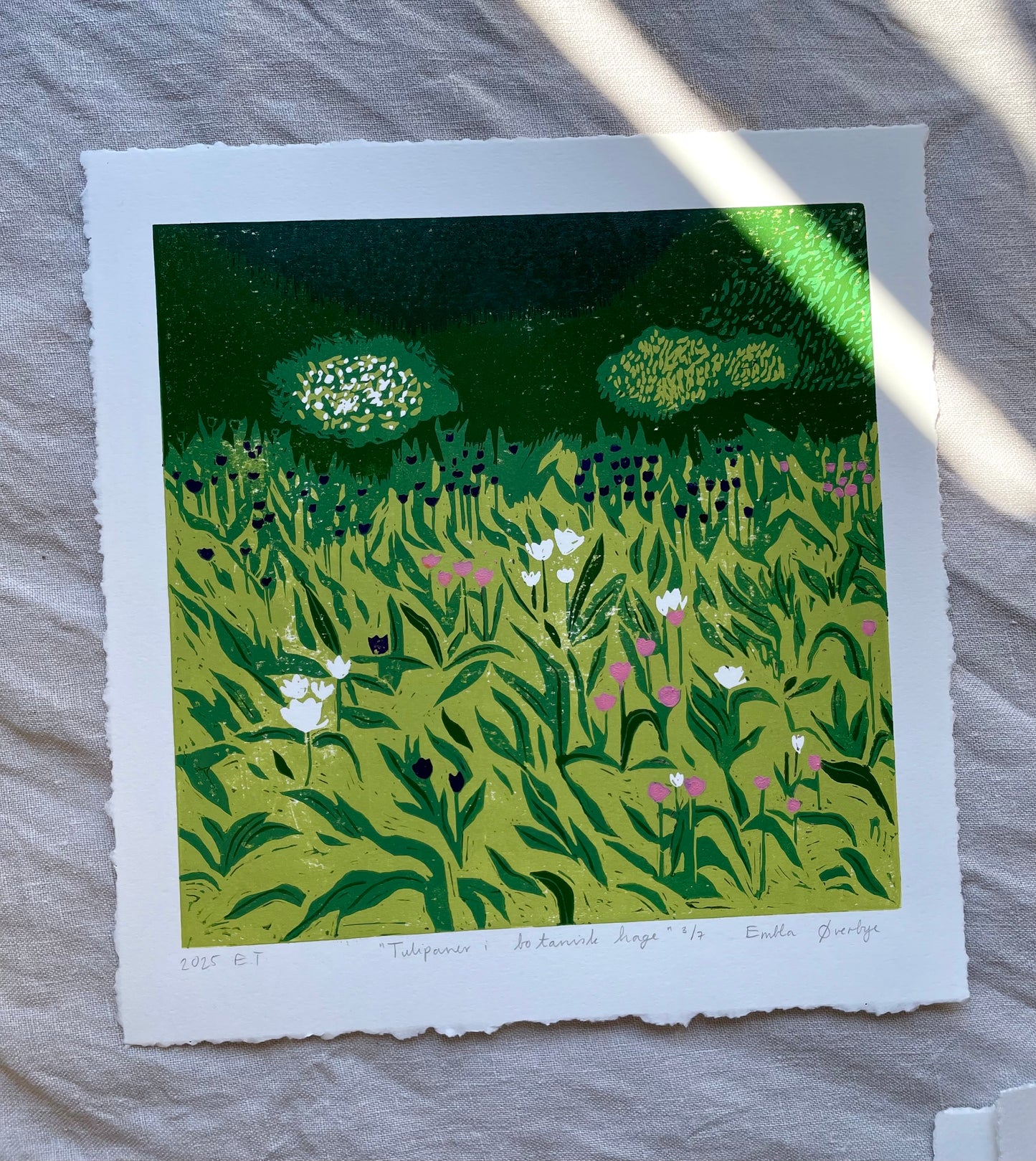 Tulipaner i botanisk hage - Originalt reduksjonstrykk med 5 lag (linosnitt)