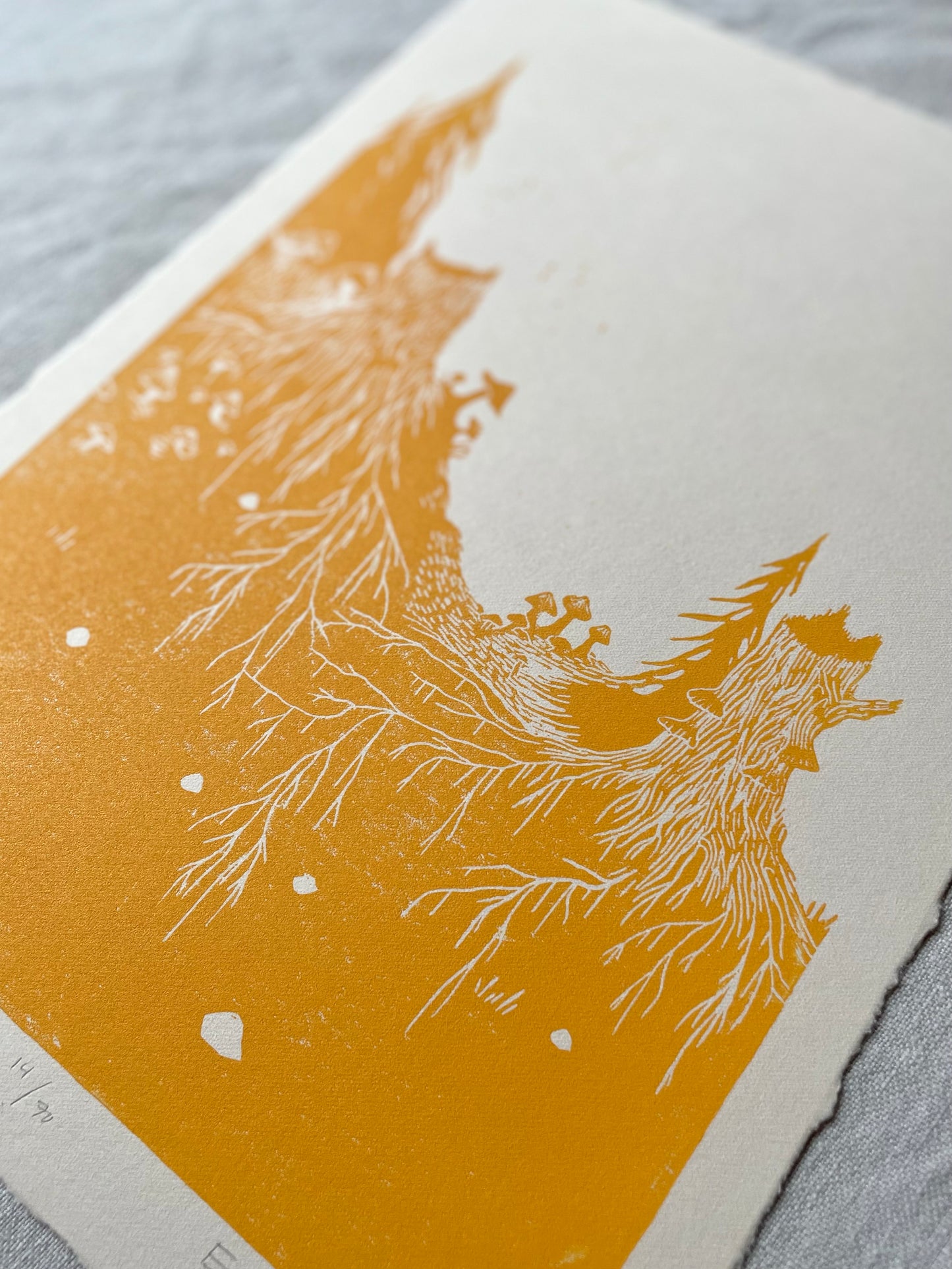 Rotfast - flere farger - Originalt linosnitt