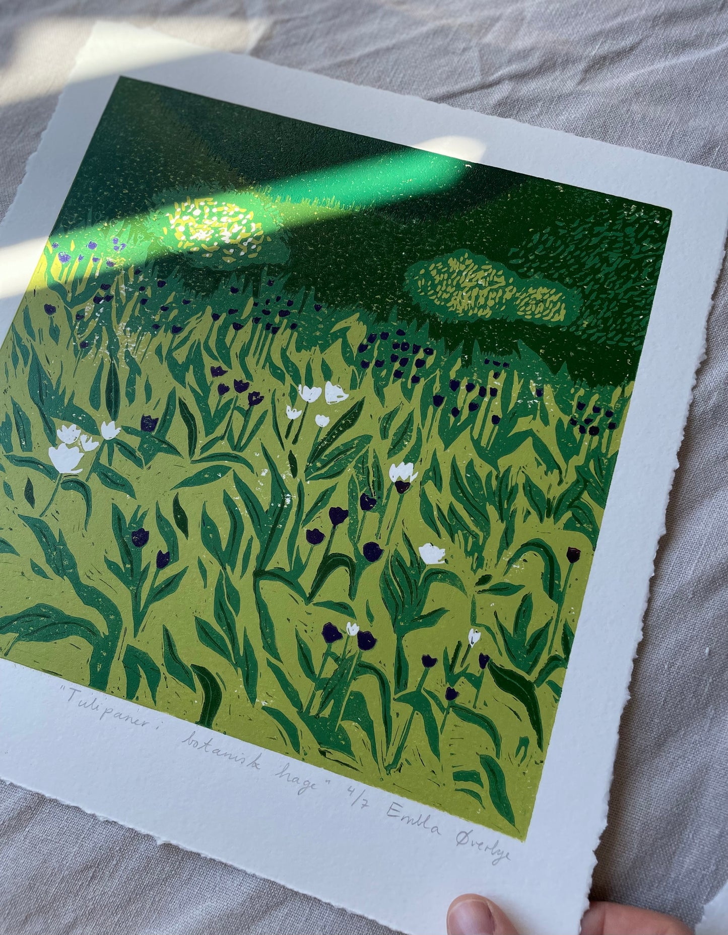 Tulipaner i botanisk hage - Originalt reduksjonstrykk med 5 lag (linosnitt)