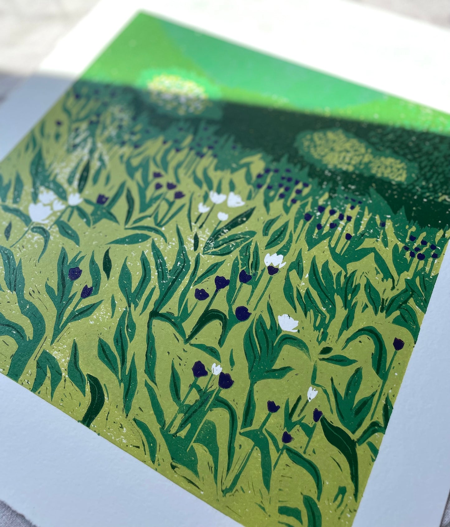 Tulipaner i botanisk hage - Originalt reduksjonstrykk med 5 lag (linosnitt)