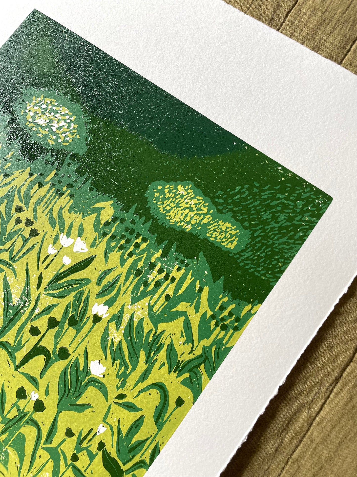Tulipaner i botanisk hage - Originalt reduksjonstrykk med 5 lag (linosnitt)