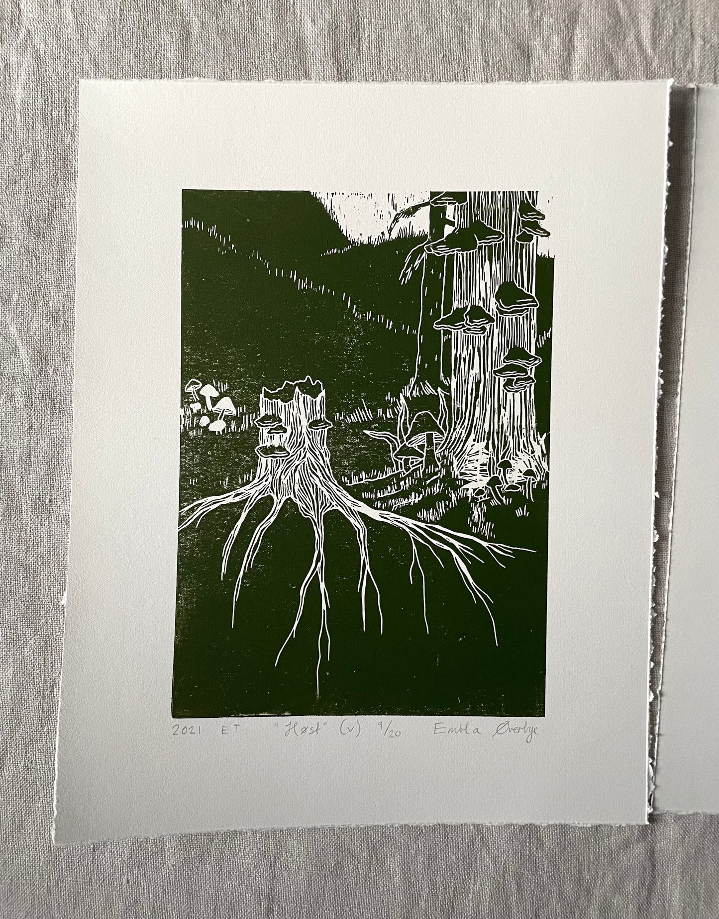 Høst - rosa/svart - Originalt linosnitt