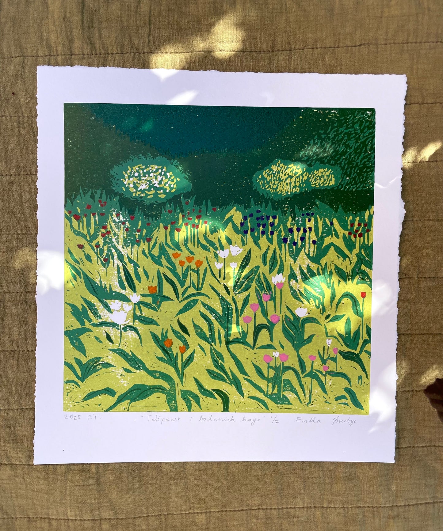 Tulipaner i botanisk hage - Originalt reduksjonstrykk med 5 lag (linosnitt)