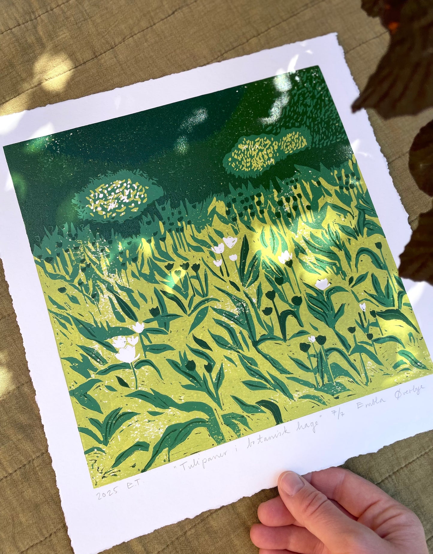 Tulipaner i botanisk hage - Originalt reduksjonstrykk med 5 lag (linosnitt)