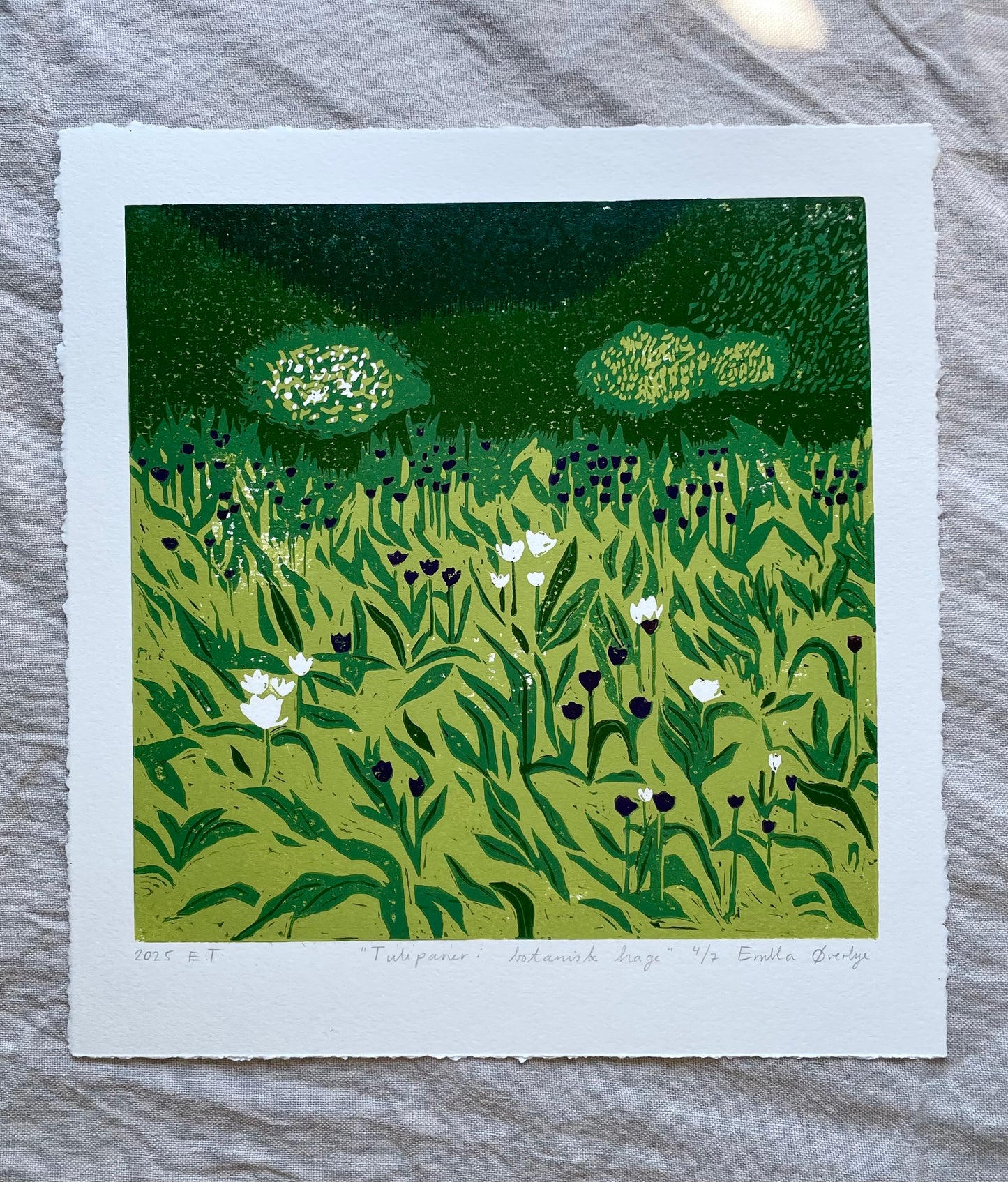 Tulipaner i botanisk hage - Originalt reduksjonstrykk med 5 lag (linosnitt)