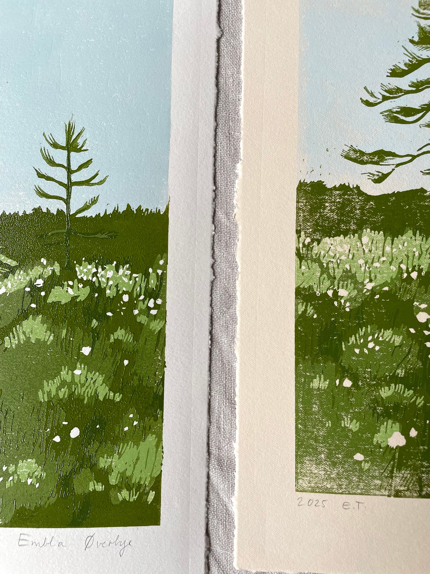 Myrull - Originalt reduksjonstrykk med 4 lag