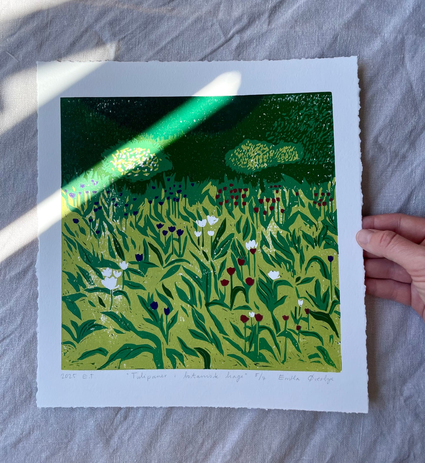 Tulipaner i botanisk hage - Originalt reduksjonstrykk med 5 lag (linosnitt)