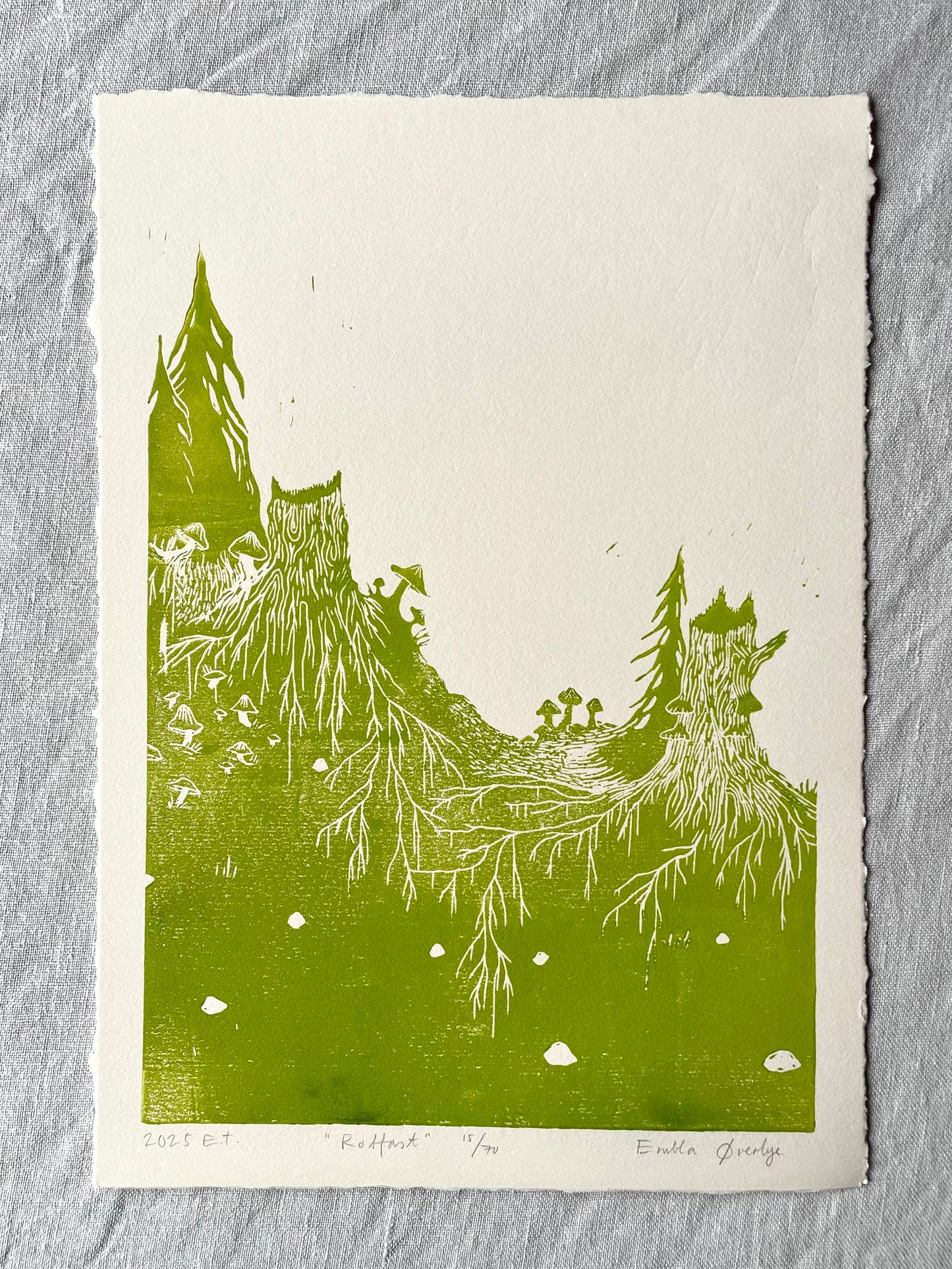 Rotfast - flere farger - Originalt linosnitt