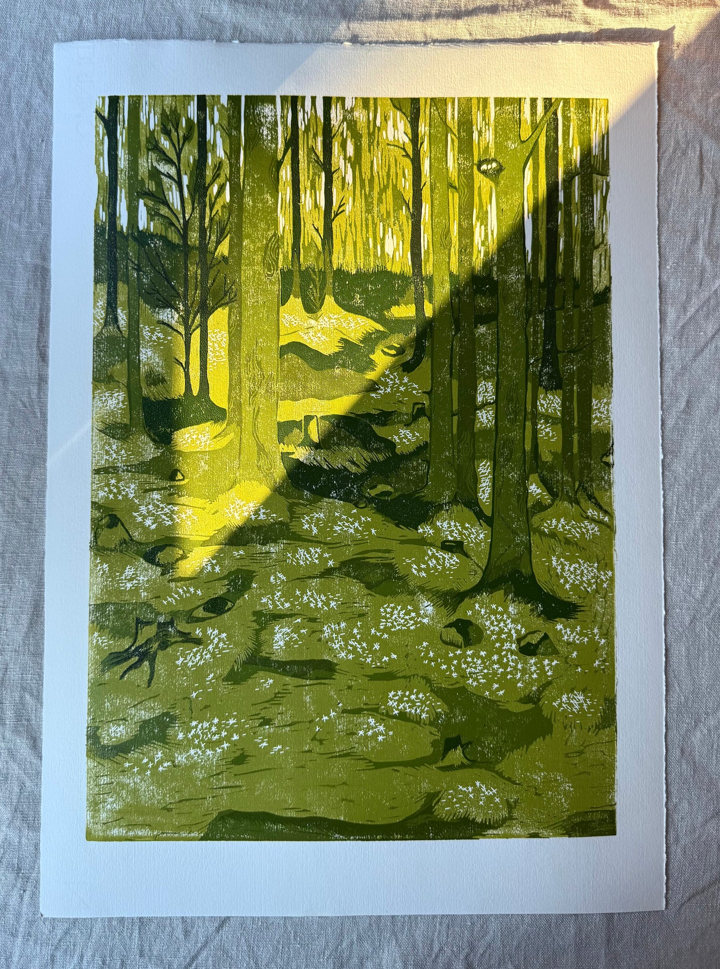 *Forhåndsbestilling* Vårskog - Originalt reduksjonstrykk med 5 lag