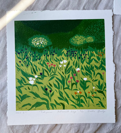 Tulipaner i botanisk hage - Originalt reduksjonstrykk med 5 lag (linosnitt)