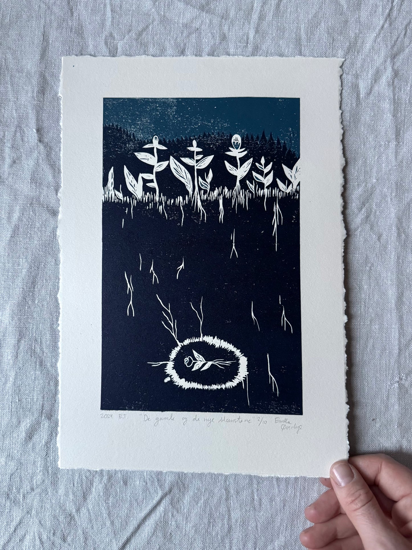 De gamle og de nye blomstene - Originalt reduksjonstrykk