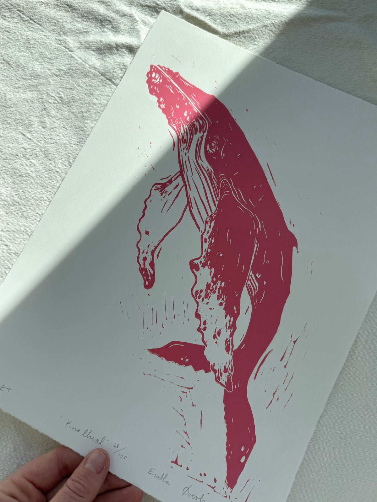 Knølhval - turkis/svart/rosa - Originalt linosnitt
