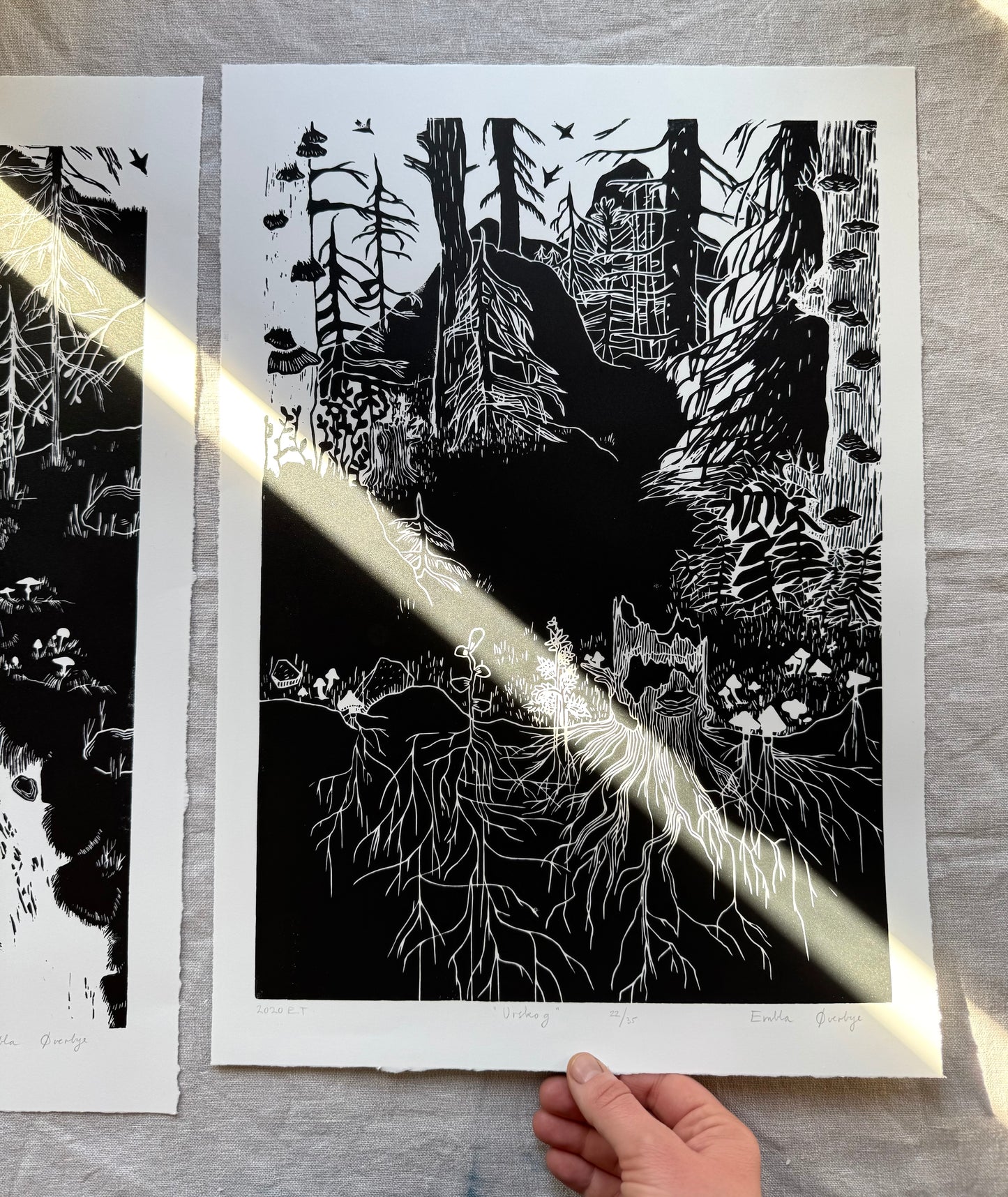 Urskog - Originalt stort linosnitt