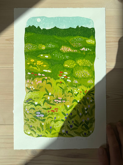 Blomstereng - Originalt reduksjonstrykk med 6 lag