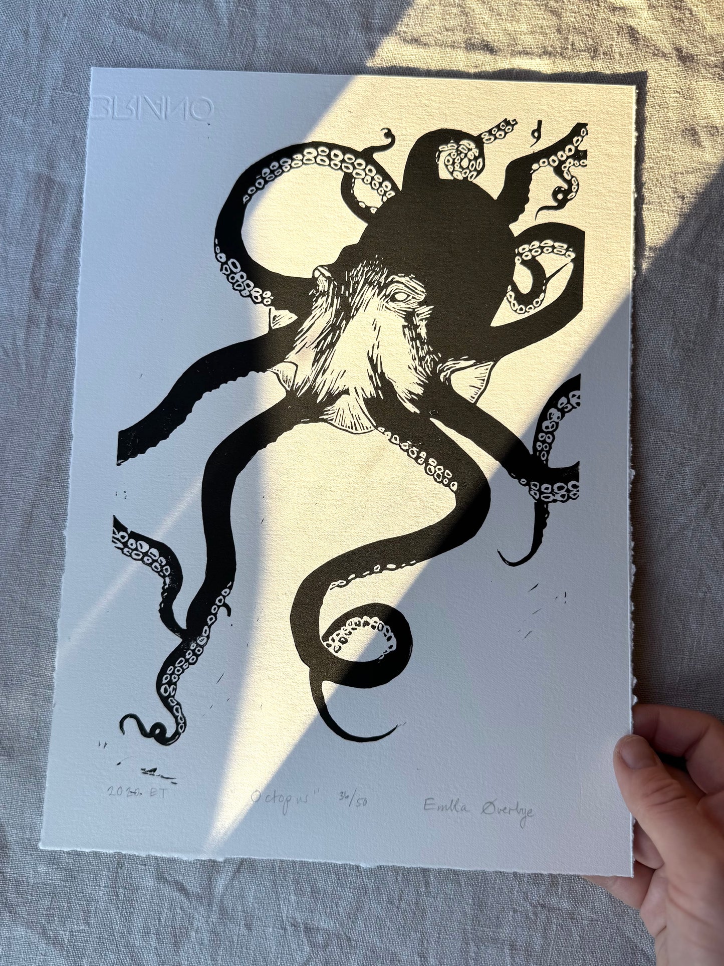 Octopus - svart/korall - Originalt linosnitt
