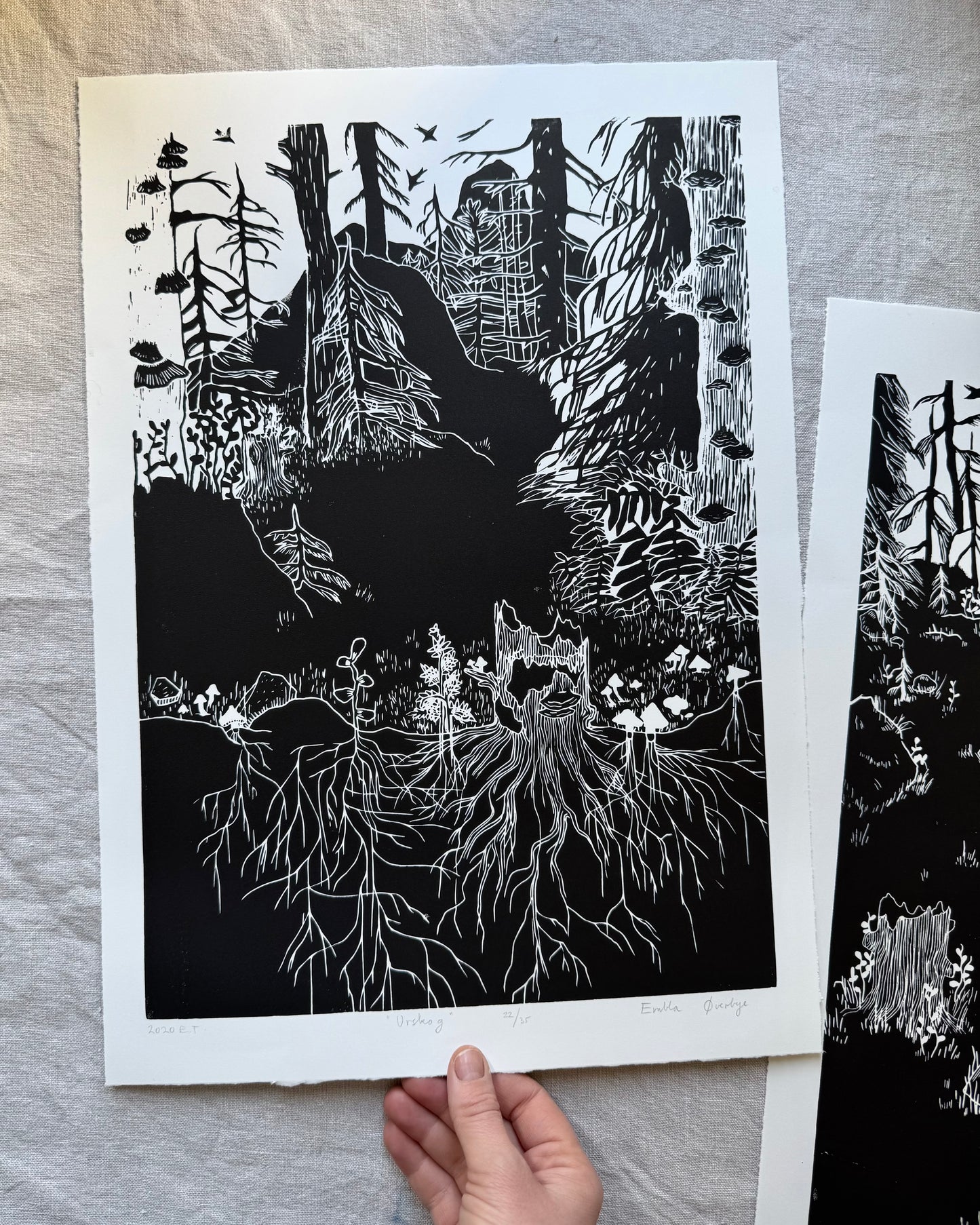 Urskog - Originalt stort linosnitt