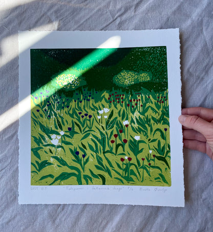 Tulipaner i botanisk hage - Originalt reduksjonstrykk med 5 lag (linosnitt)
