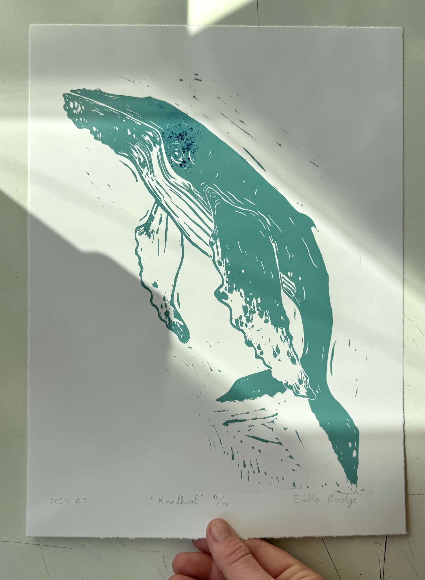Knølhval - turkis/svart - Originalt linosnitt