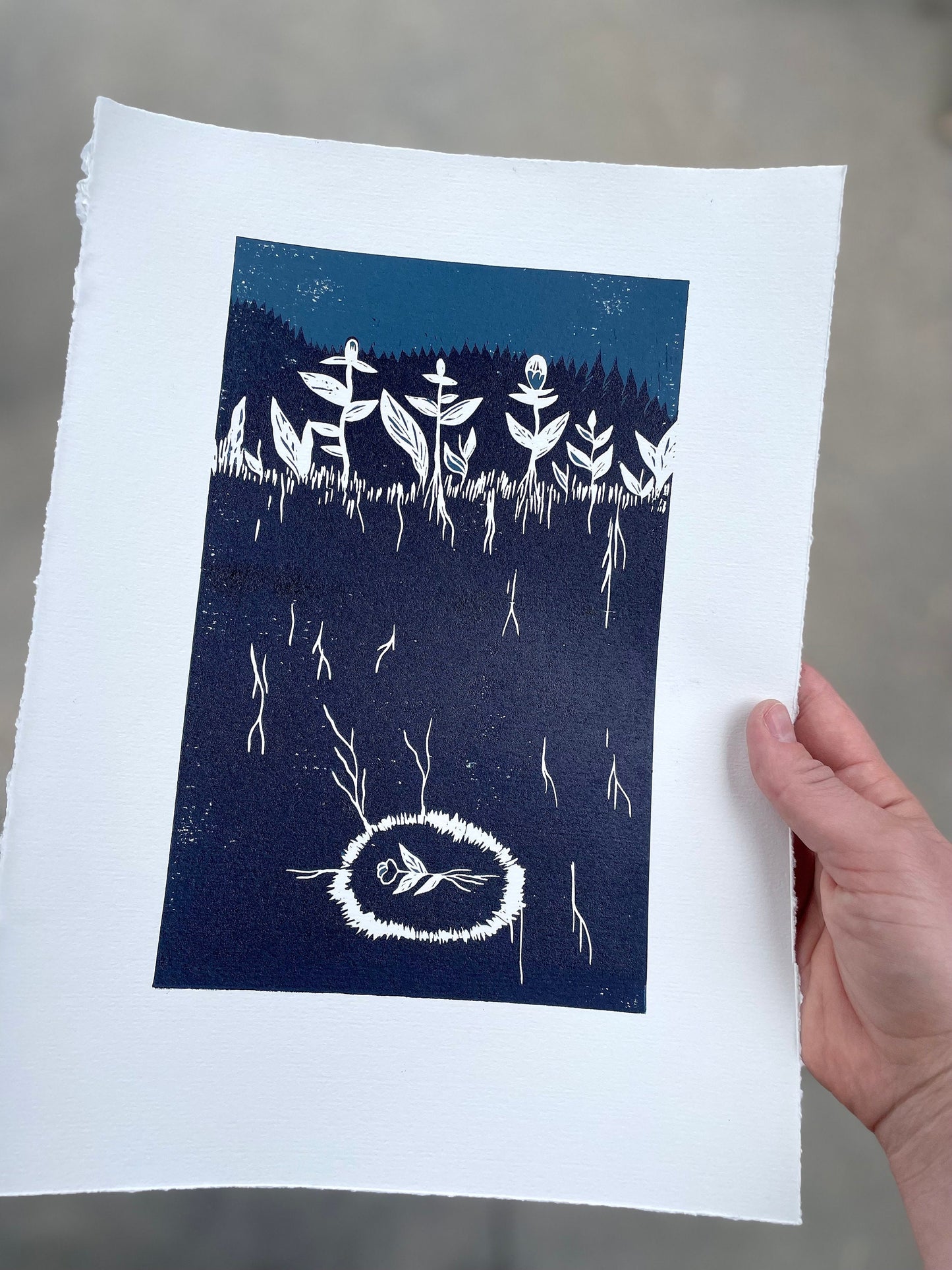 De gamle og de nye blomstene - Originalt reduksjonstrykk