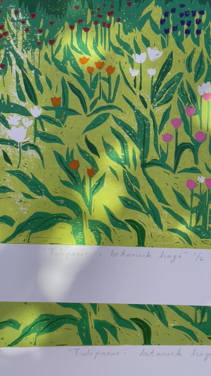 Tulipaner i botanisk hage - Originalt reduksjonstrykk med 5 lag (linosnitt)